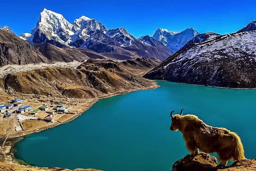 a man standing on everest base camp after doing his everest base camp trek